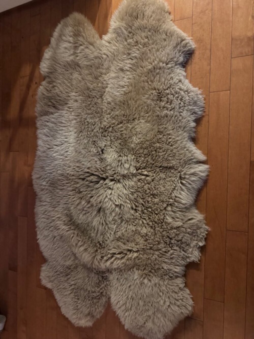 UgG Rug - Picture 3 of 3